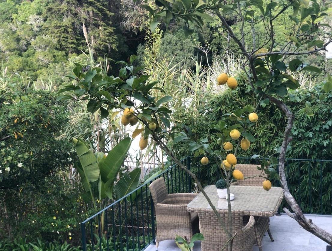 Casa Holstein Quinta De Sao Sebastiao Sintra Hotel Екстериор снимка
