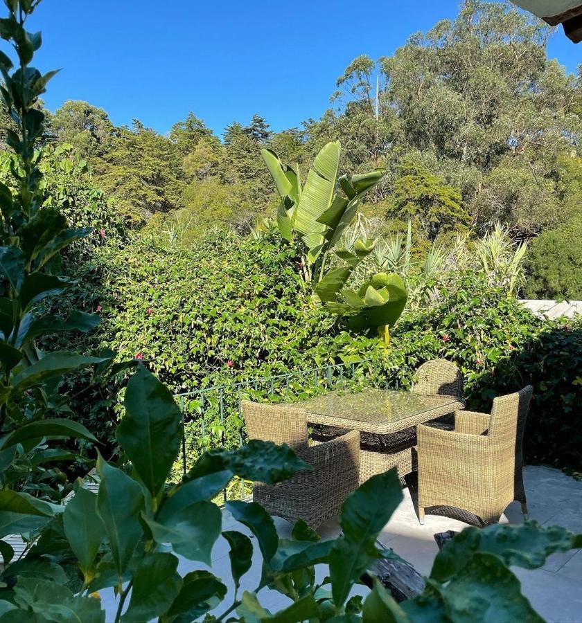 Casa Holstein Quinta De Sao Sebastiao Sintra Hotel Екстериор снимка