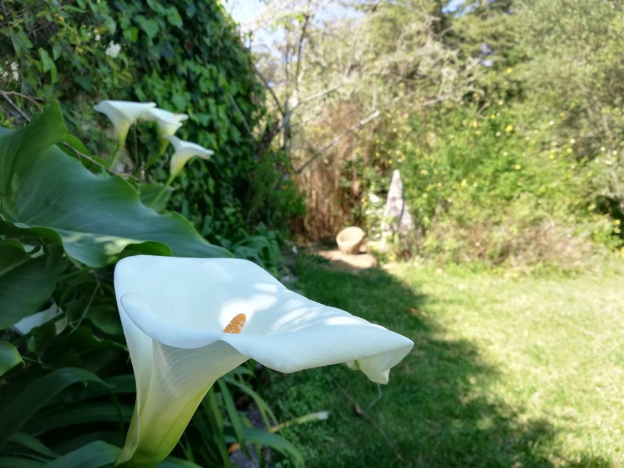 Casa Holstein Quinta De Sao Sebastiao Sintra Hotel Екстериор снимка